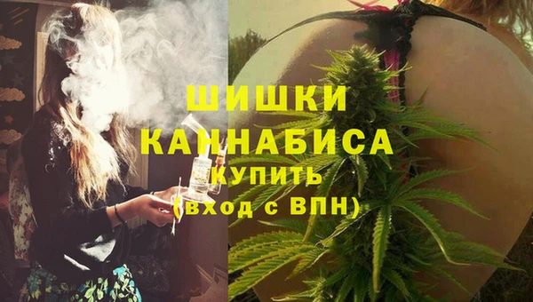 стафф Хадыженск